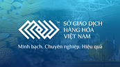 Decision on handling violations against Saigon Invest Commodity Trading Joint Stock Company